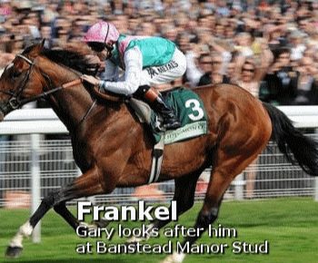 frankel2